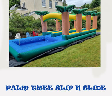 palm tree water slide