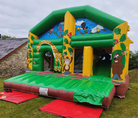 Jungle Multi Play Castle Hire