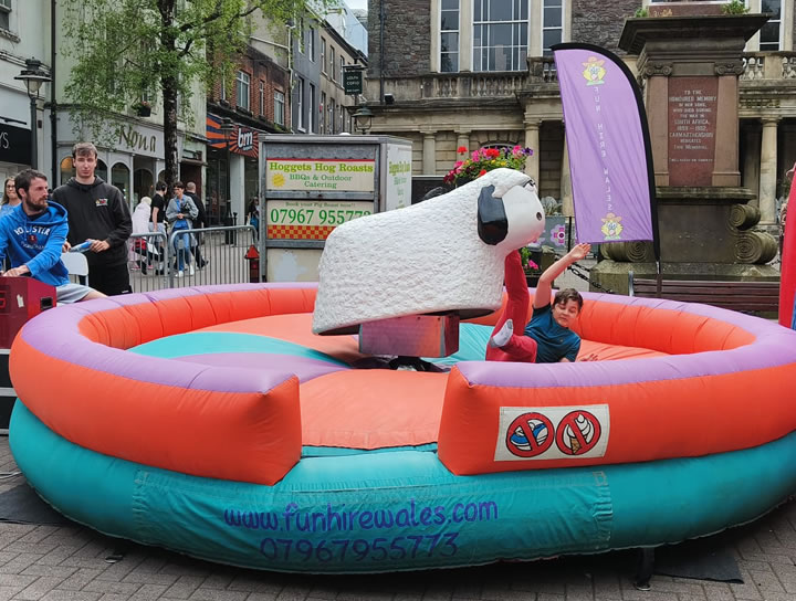Rodeo sheep hire Wales