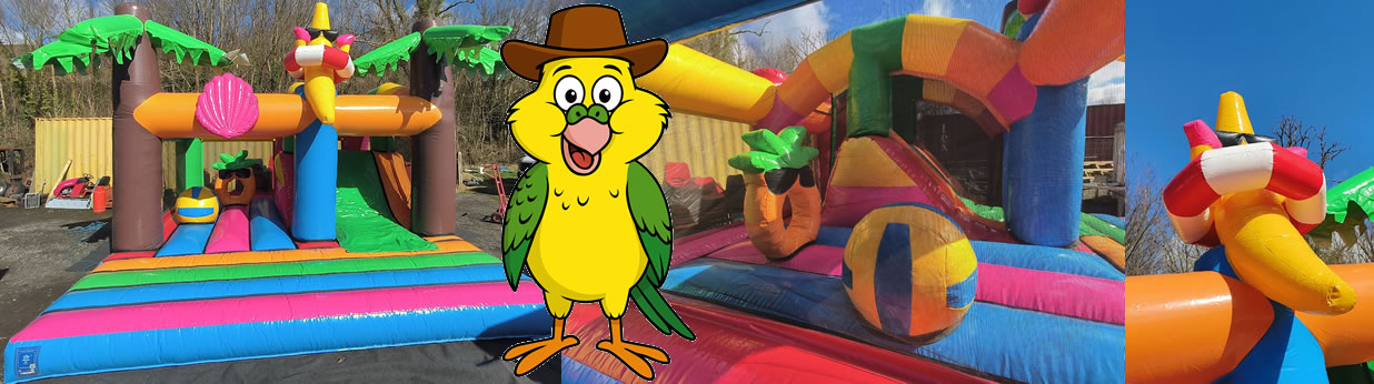 Summer Multiplay Activity bouncy Castle hire