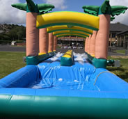 Palm Tree Water Slide