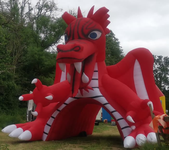 dragon mascot hire