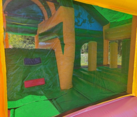 Jungle inflatable with slide