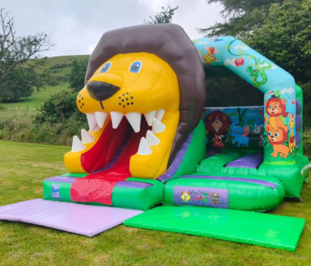 Lion 3D Combo Castle Hire