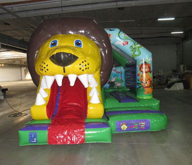 Lion 3D Slide Combo Castle  front