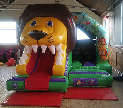 lion 3d combo castle hire