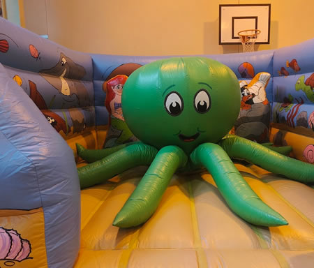 Octopus Castle Hire Wales
