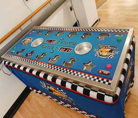 Pluck A Duck Corporate Hire