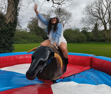 Rodeo Bull Hire Carmarthen